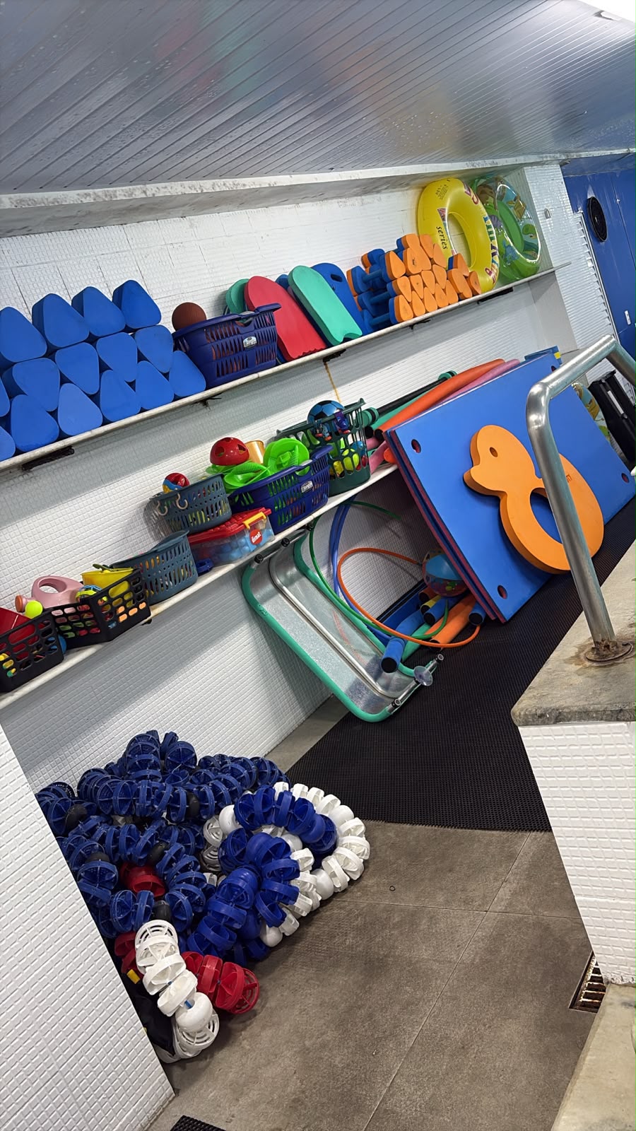 Prateleiras com materiais novos de natação: pranchas, espaguetes, halteres e material lúdico