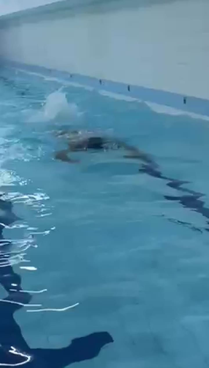 Aluno nadando na piscina coberta da Academia Equipe Fórmula